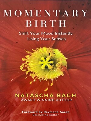cover image of Momentary Birth